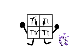 Should Punnett Square be a block or a flat square?