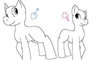 Which are you?A colt/boy or a mare/girl?