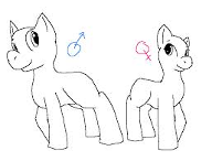 Which are you?A colt/boy or a mare/girl?