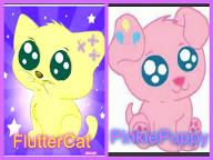 Which my little pet should I create? (I know I already asked this but this is the poll version) PLZ also tell me why u think!