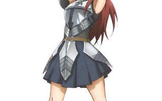 Fairy Tail Erza: Favorite Empress Armor