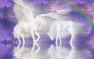 Unicorns or Pegasus? (1)