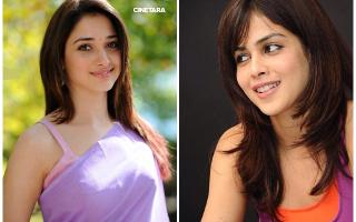 Do you like Tamanna Bhatia more or Genelia D'Souza