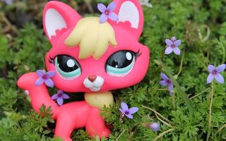 Which Lps Looks Cuter?