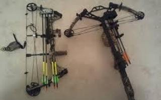 Bows Or Crossbows?