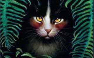 Do you think Erin Hunter should've kept Spottedleaf alive?