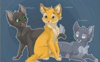 Jayfeather, Hollyleaf, or lionblaze? :D