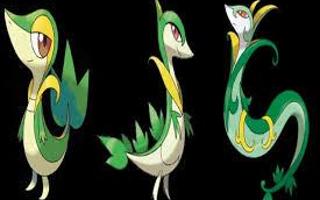 Which evolution of Snivy is the best?