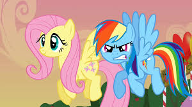 rainbow dash hor fluttershy