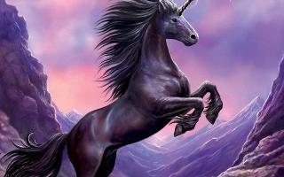 What species of unicorn do you like best?