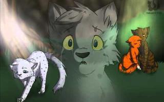 If you where squirrelflight who would you choose?