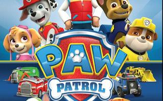 Who is your favorite pup in Paw Patrol?