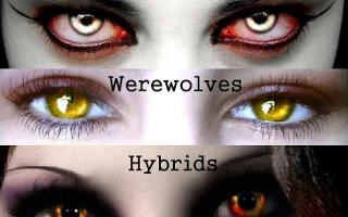 Which is better Werewolves or Vampires?