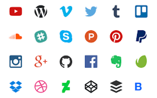 Which social media website do you use the most?