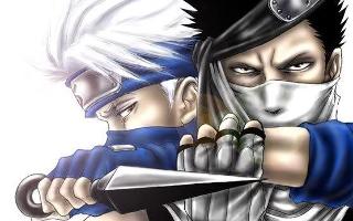 I just make my questions and polls for fun so i'll make more (this is zabuza vs kakashi who will win?