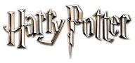 Which class in harry potter is your favorite