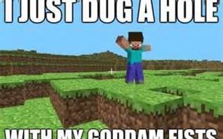 What are you in minecraft? (please comment)