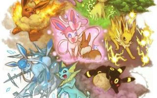 Who is the best evolution of Eevee?