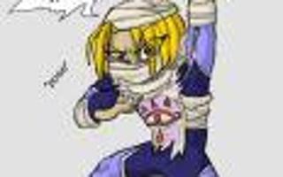 Do you think Sheik is a girl or guy?(I think girl, I played OoT.)