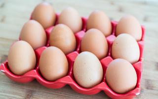 Which egg food is your favorite: Boiled Egg, Half-Fried Egg or Omelette?