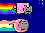 Nyan cat vs Pusheen!