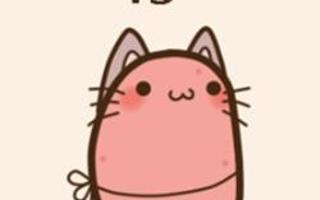 Pusheen, Nyan cat or Kawaii Potato?