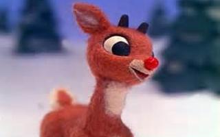 Rudolph the red nose idiot story poll