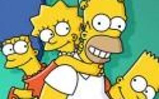 Which Simpson family member is the best?