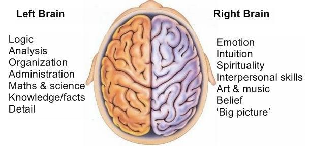 are-you-left-brained-or-right-brained-poll