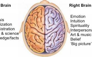 Are You Left-Brained or Right-Brained?