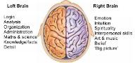 Are You Left-Brained or Right-Brained?