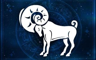 What is your zodiac? (1)