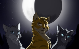 Warrior Cats Poll- Who Has the Best Power in the "Power of Three" Arc?