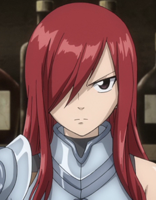 Fairy Tail Erza: Strong Armor