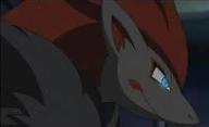 How much do you love Zoroark?