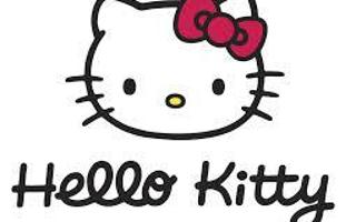 which hello kitty looks best?