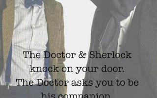 The doctor companion or sherlock's blogger what would you choose.