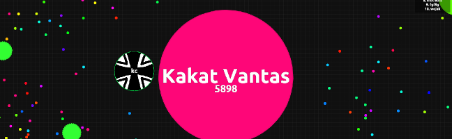 What's your highest rank on Agar.io?