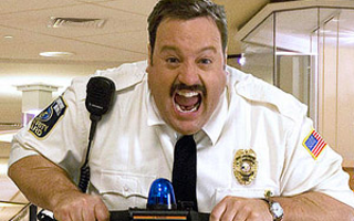 Did you enjoy the movie Paul Blart: Mall Cop?