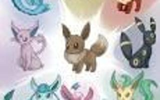 What eevee evaluation do you prefer?