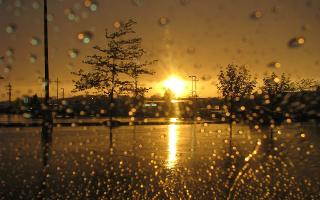 Sunny Days Or Rainy Days: Which Is Better