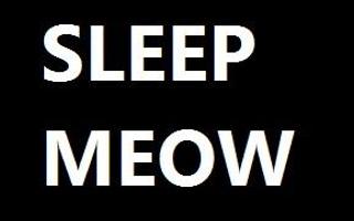 Eat Sleep Meow Repeat