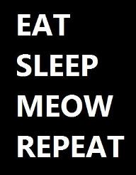 Eat Sleep Meow Repeat