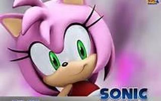 Which is the best couple for Amy Rose the hedgehog?