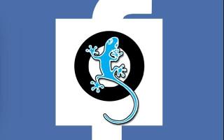 Qfeast or Facebook?