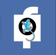 Qfeast or Facebook?