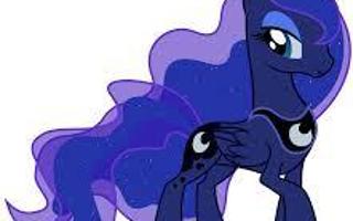 Who is the best princess? MLP FIM