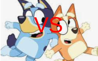 bluey or bingo?