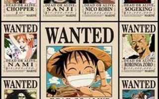 Which Straw Hat Pirate is you favorite?