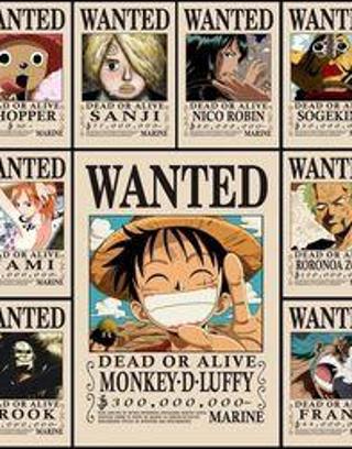 Which Straw Hat Pirate is you favorite?